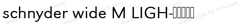 schnyder wide M LIGH字体转换